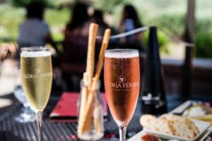 2026年世界杯对阵图，预测与看点解析2026世界杯对阵图