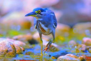 2025欧洲杯决赛,全球球迷的盛宴与未来足球的缩影2025欧洲杯决赛