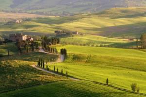 2022年卡塔尔世界杯赛程及结果世界杯赛程及结果